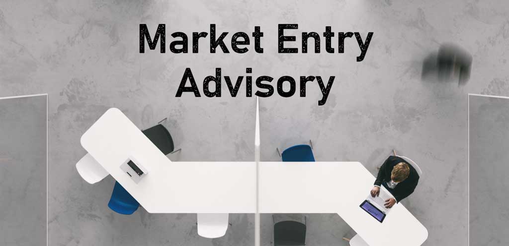Market Entry Advisory