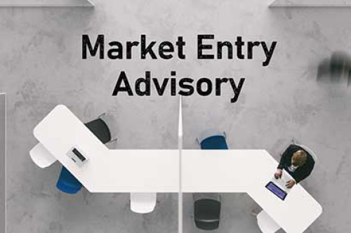 Market Entry Advisory