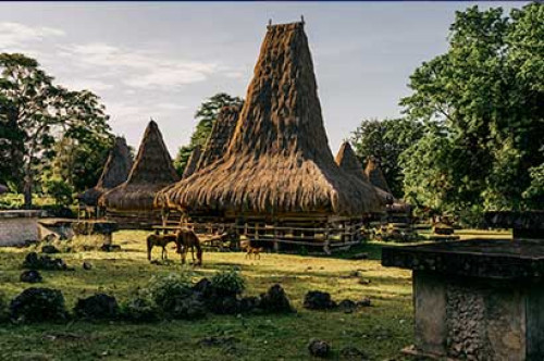Sumba
